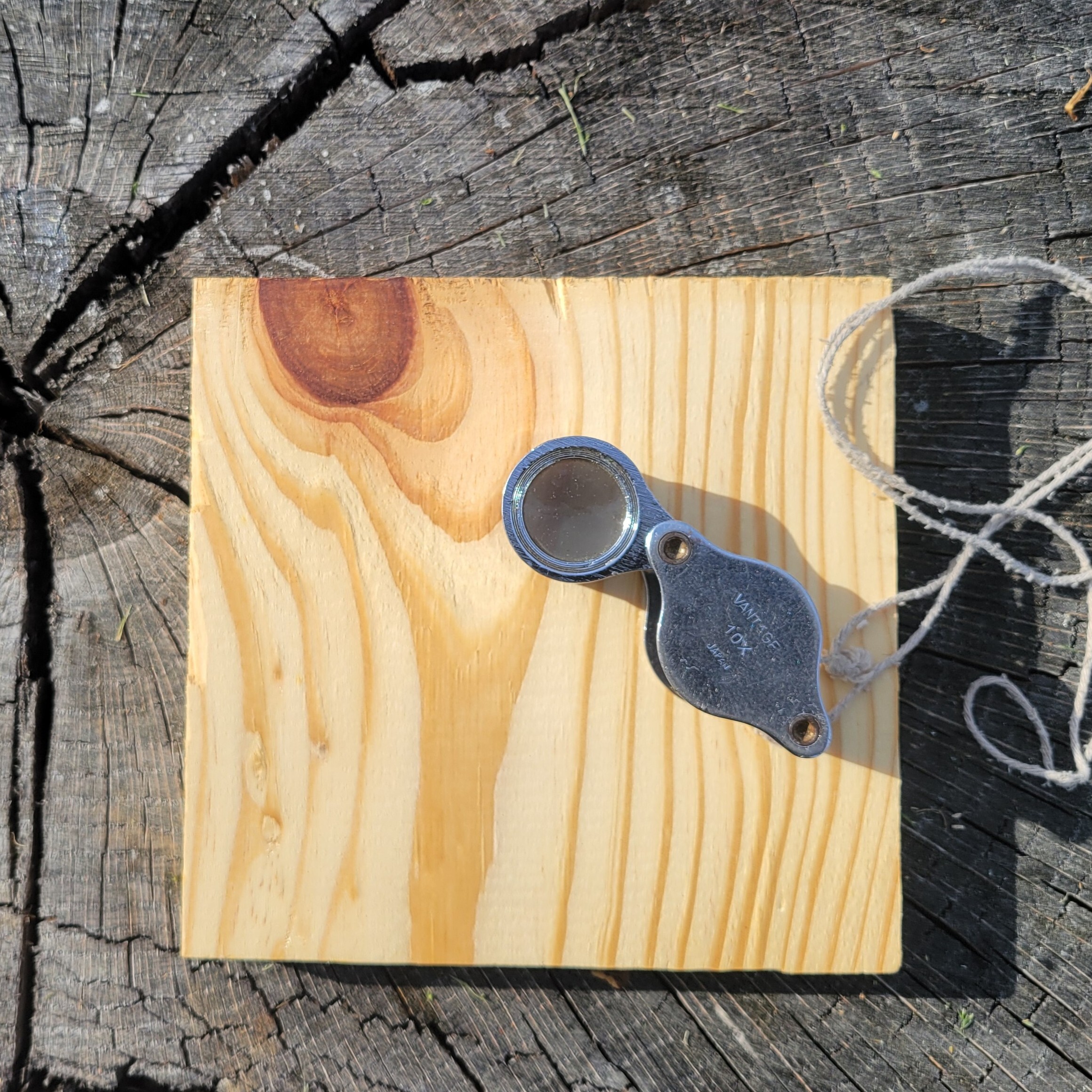 Wood ID from the Inside Out: Understanding Structure, Strength & Use with Ron Lance - logo
